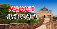 男生操逼网站中国北京-八达岭长城旅游风景区